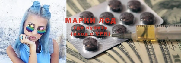 хмурый Алзамай