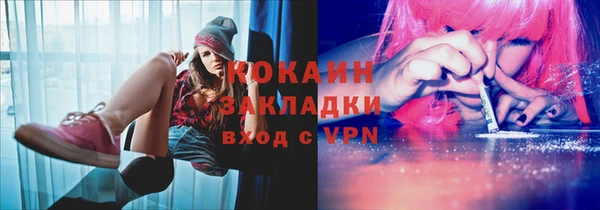 индика Алексин