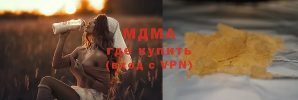 индика Алексин