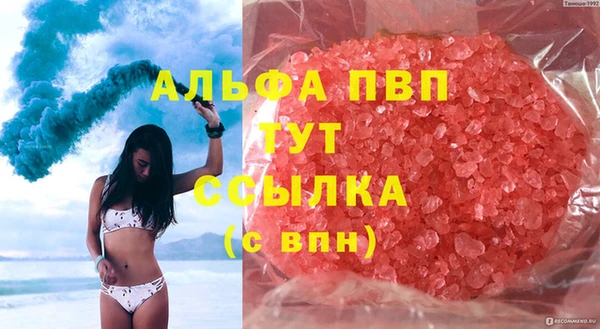 хмурый Алзамай