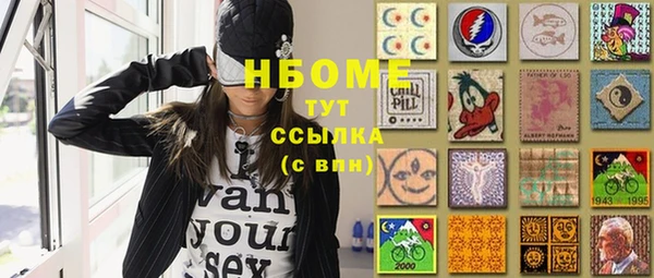 индика Алексин