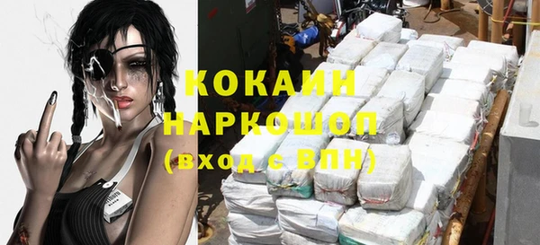 хмурый Алзамай
