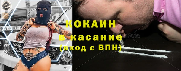 индика Алексин