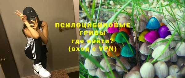 хмурый Алзамай