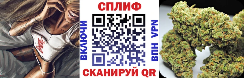 магазин продажи наркотиков  Шатура  Конопля индика 